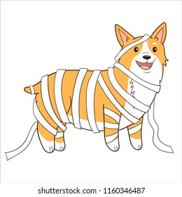 Welsh Corgi dressed up as a mummy. Cartoon doodle style. Halloween vector illustration.