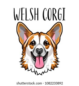 Welsh Corgi face. Dog portrait. Corgi dog breed. Vector illustration.
