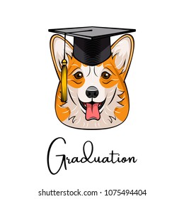 Welsh corgi graduate. Graduation cap hat. Dog portrait. Vector illustration