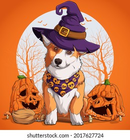 Welsh Corgi In Halloween Disguise Sitting On A Broom And Wearing Witch Hat With Pumpkins On His Side