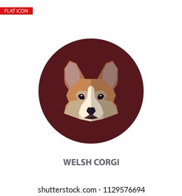 Welsh corgi head vector flat icon on turquoise circular background. It can be used as - logo, pictogram, icon, infographic element.