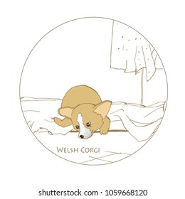 Welsh Corgi. Low breed of dog. Puppies on the bed.Sketch of orange dogs