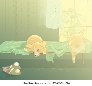 Welsh Corgi. Low breed of dog. Puppies on the bed.Sketch of orange dogs