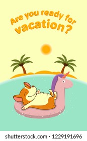 Welsh corgi on vacation float on the rubber ring