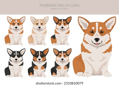 Welsh Corgi Pembroke clipart. All coat colors set.  All dog breeds characteristics infographic. Vector illustration