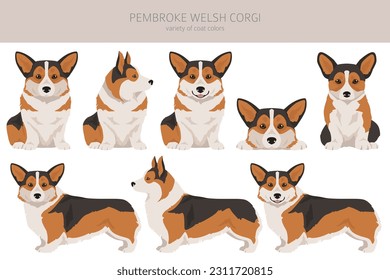 Welsh Corgi Pembroke clipart. All coat colors set.  All dog breeds characteristics infographic. Vector illustration