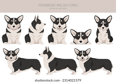 Welsh Corgi Pembroke clipart. All coat colors set.  All dog breeds characteristics infographic. Vector illustration