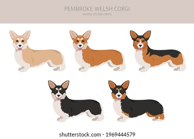 Welsh corgi pembroke clipart. Different poses, coat colors set.  Vector illustration