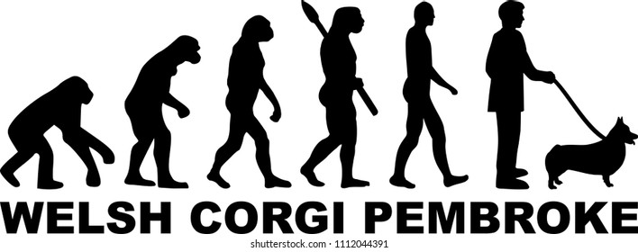 Welsh Corgi Pembroke evolution with word in black 