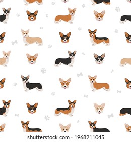 Welsh corgi pembroke seamless pattern. Different poses, coat colors set.  Vector illustration