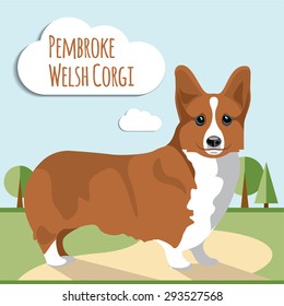 Welsh corgi pembroke vector illustration