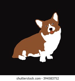Welsh Corgi Pembroke. Vector illustration