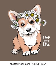 Welsh Corgi puppy with a chamomile flowers. I need your love - lettering quote. Humor card, t-shirt composition, hand drawn style print. Vector illustration.