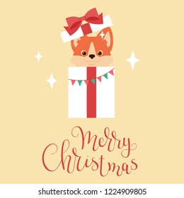 Welsh corgi puppy peering out of Christmas gift box. Merry Christmas hand lettering. Vector illustration