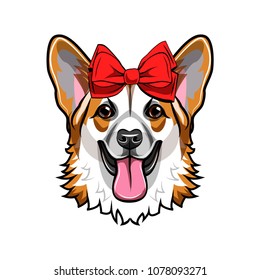 Welsh corgi. Red bow. Smiling dog. Corgi cute portrait. Vector illustration