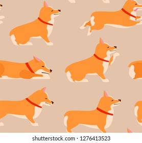  Welsh Corgi Set. Set of poses and emotions dog seamless pattern.  Teach dog. Stay, Wait, Sit. Flat vector illustration.