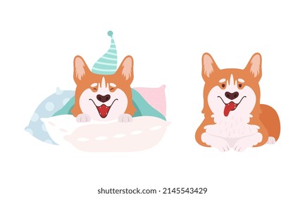 Welsh Corgi With Short Legs And Brown Coat Sticking Out Tongue And Wearing Night Cap Vector Set