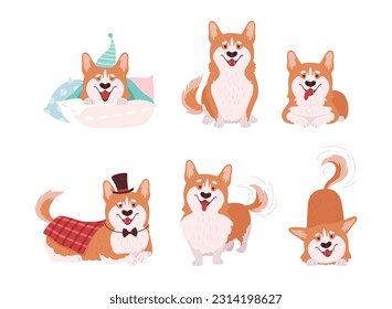 Welsh Corgi with Short Legs and Brown Coat in Different Pose Vector Set
