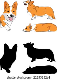 Welsh Corgi silhouettes. Laying, running, standing dog. Cute brown dogs characters in various poses, design for print, cute cartoon vector set, in different poses. One color design. Small orange dog.