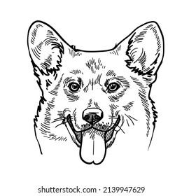 Welsh Corgi a small type 
of herding dog puppy. Vector line pen sketch illustration