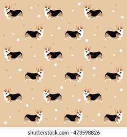 Welsh Corgi  Vector