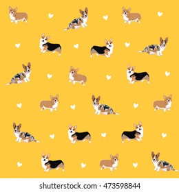 Welsh Corgi  Vector