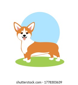 Featured image of post Chibi Anime Corgi - We hope you enjoy our growing collection of hd images to use as a background or home screen for your.