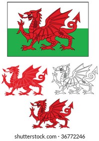 Welsh Flag With Dragon Variations