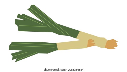 Welsh onion icon. Green japanese leek plant