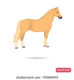 Welsh pony color flat icon