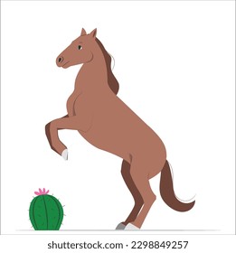 Welsh pony running and standing in high grass, long mane, brown horse galloping, brown horse standing.