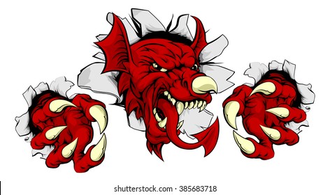 Welsh red dragon of Wales Y Ddraig Goch smashing through the background with his claws. Sports mascot.