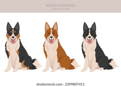 Welsh Sheepdog clipart. All coat colors set.  All dog breeds characteristics infographic. Vector illustration