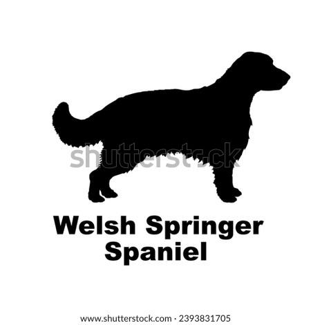 Welsh Springer Spaniel Dog silhouette dog breeds logo dog monogram logo dog face vector