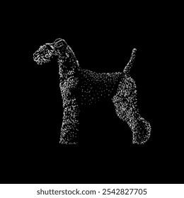 welsh terrier hand drawing vector isolated on black background.