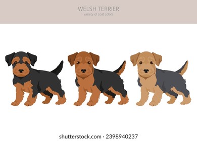 Welsh terrier puppy clipart. Different poses, coat colors set.  Vector illustration