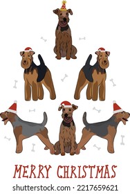 Welshie dogs wearing winter hats. Cute funny dogs. Character design. Abstract Christmas tree. Vector illustration. Merry Christmas greeting card with the cute funny WT dogs, holiday Welsh Terrier.