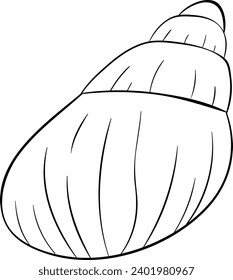 Wentletrap sea shell black and white vector line art illustration