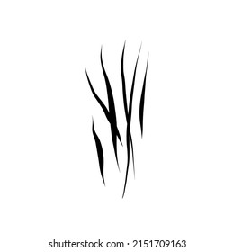 Werewolf, cat or beast scratch scrape on white background. Four wound marks. Isolated print with wild animal claw. Monster sign. Genus feline symbol flat vector illustration.