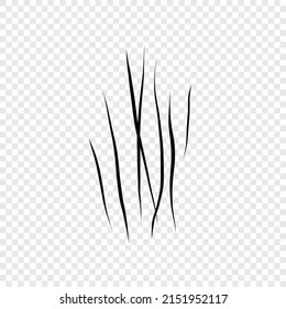 Werewolf, cat or beast scratch scrape on transparent background. Four wound marks. Isolated print with wild animal claw. Monster sign. Genus feline symbol flat vector illustration.