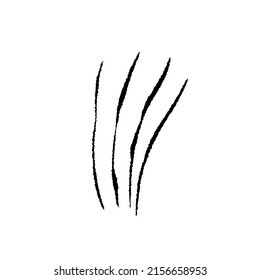 Werewolf, cat or beast scratch scrape on white background. Four wound marks. Isolated print with wild animal claw. Monster sign. Genus feline symbol flat vector illustration.