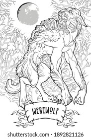 Werewolf in a forest. A legendary monster from european folklore tales. Black linear drawing isolated on a white background. Coloring book or tattoo design. EPS10 vector illustration.