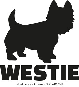 West Highland Terrier with breed name