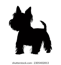 Silhouette de perro del West Highland Terrier aislada en un fondo blanco. Ilustración del vector