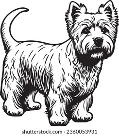 West Highland Terrier Dog Vector