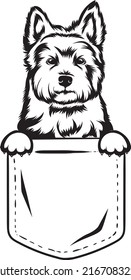West Highland Terrier T-Shirt Design Dog In Pocket Peeking Dog