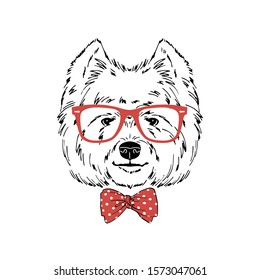 West Highland white terrier breed dog wear red glasses, tie bow isolated on white background Symmetrical pet head. Realistic hand drawn vector illustration.