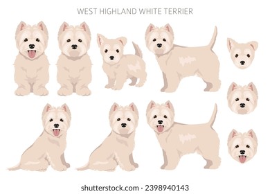 West Highland White Terrier clipart. Different poses, coat colors set.  Vector illustration