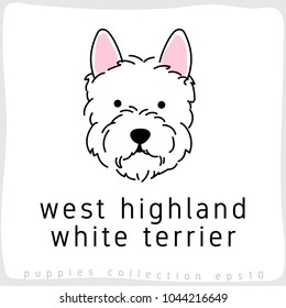 West Highland White Terrier : Dog Breed Collection : Vector Illustration