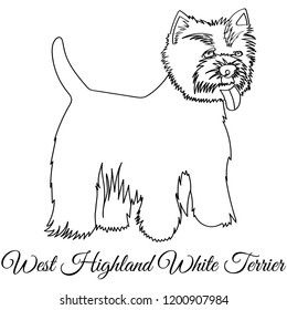 West highland white terrier dog coloring